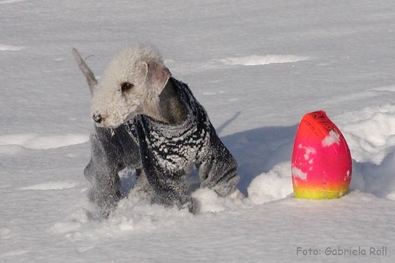 Quincy 2009-01-05 (8).JPG